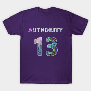 Authority 13, Large Abstract Harmony T-Shirt